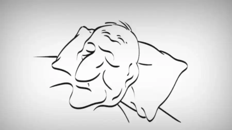 Optical Illusion Iq Test Only Genius Can Find The Hidden Sleeping