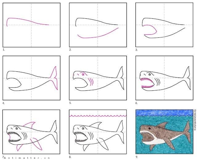 Làm thế nào để vẽ một con cá mập