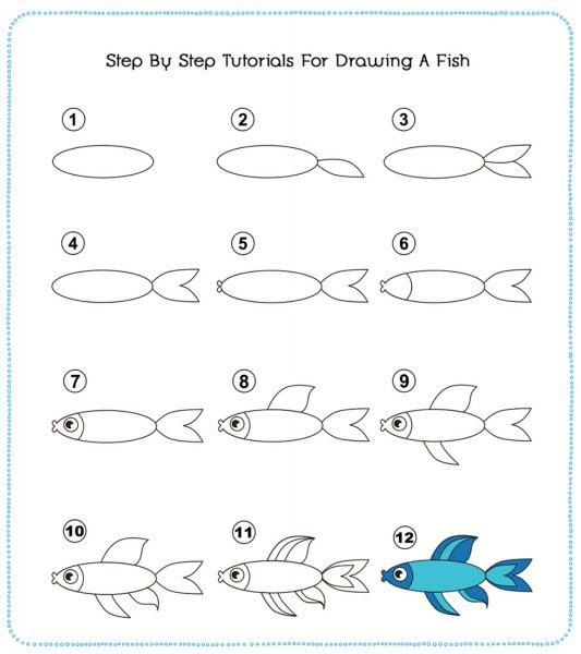 Cách vẽ con cá Vẽ thân dài