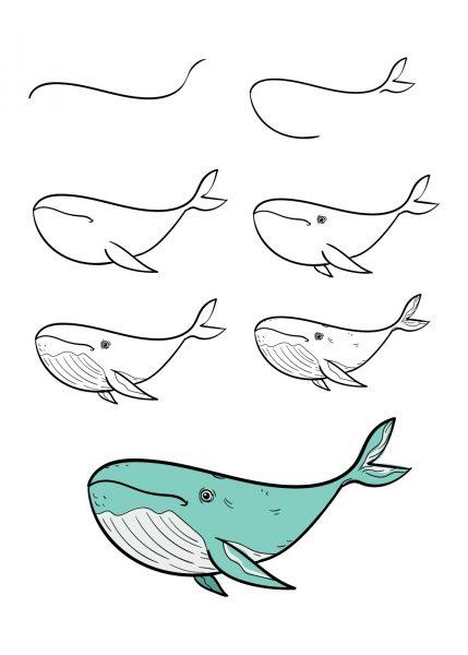 Làm thế nào để vẽ một con cá voi rất dễ dàng