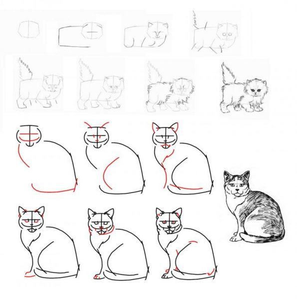 Làm thế nào để vẽ một con mèo dễ thương ngồi và đứng