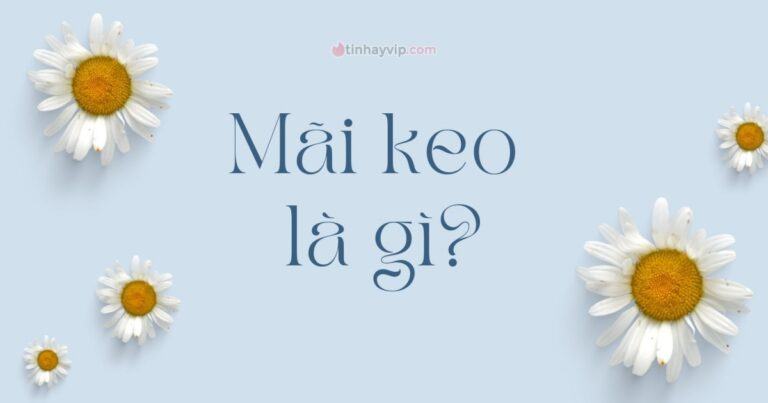 Mãi keo là gì? Vì sao giới trẻ phát cuồng mãi mận mãi keo?