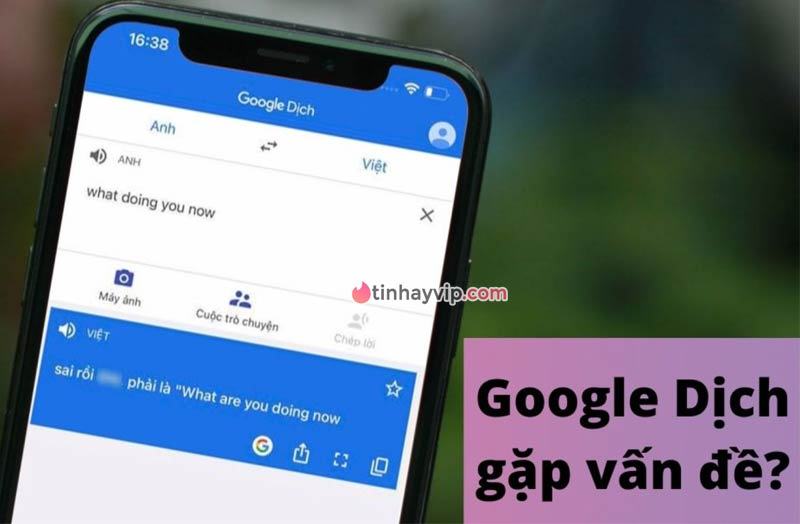 Hình ảnh Google Dịch nói xấu người Việt troll người dùng 5