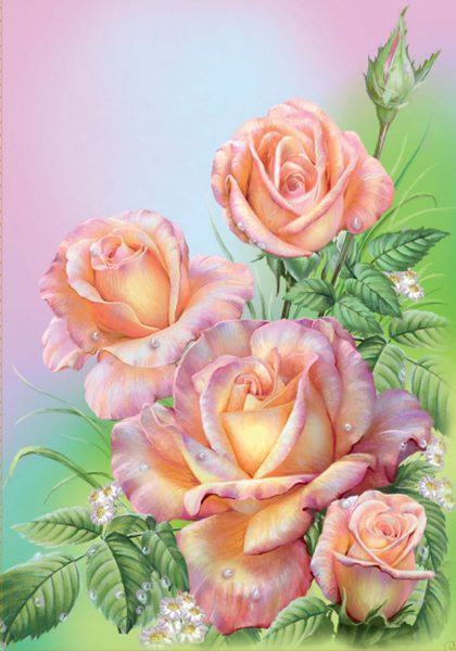 mẫu hoa hồng pastel