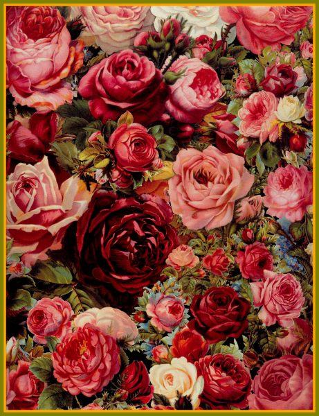 Tranh hoa hồng vẽ bằng tranh