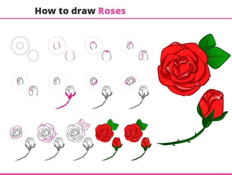 Cách vẽ hoa và hoa