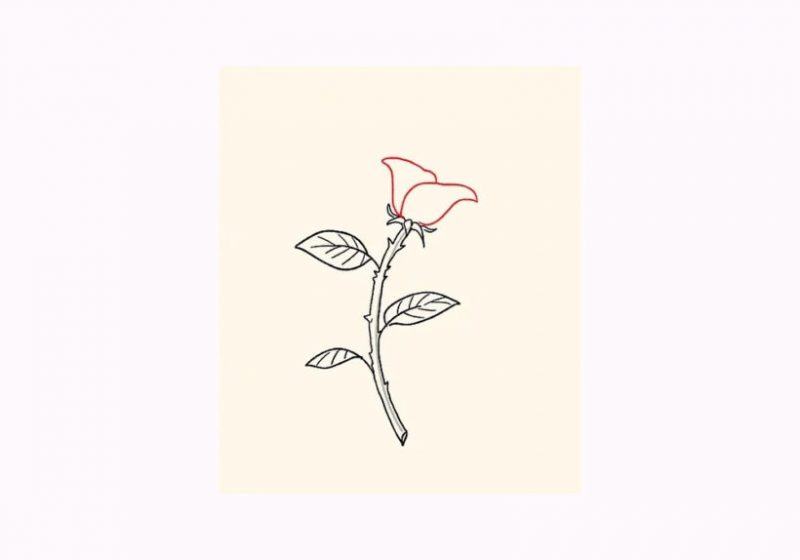 Chia sẻ 56 về hình vẽ hoa hồng đơn giản hay nhất  cdgdbentreeduvn