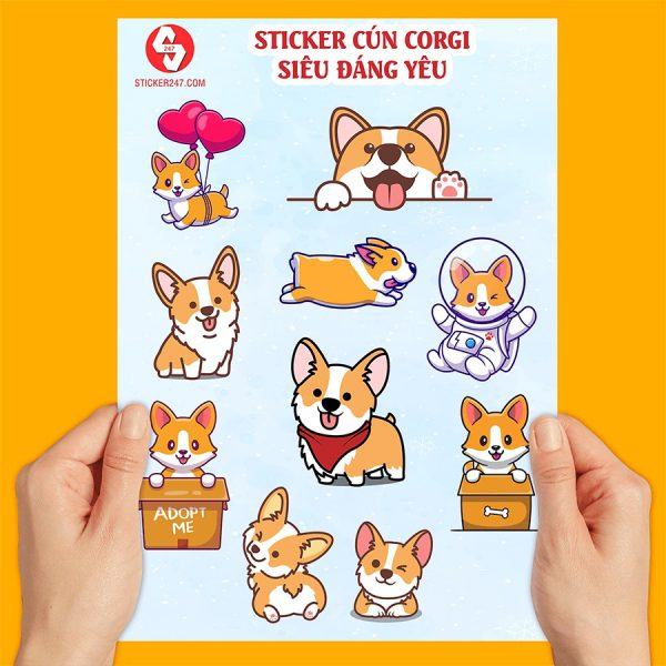 Một cửa hàng Corgi dễ thương và đáng yêu