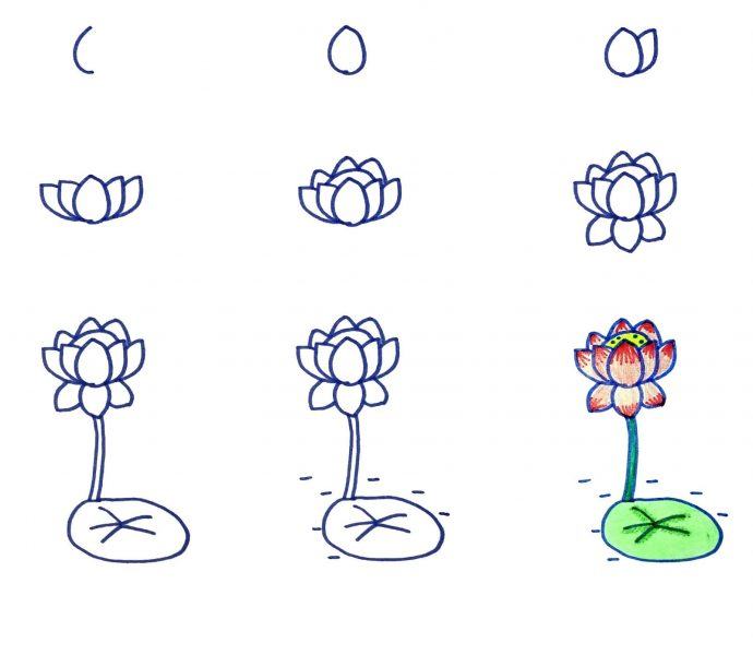 Cách vẽ hoa sen trong 9 bước