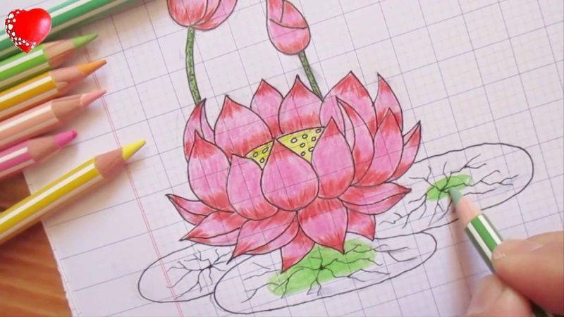 Vẽ hoa sen trên giấy