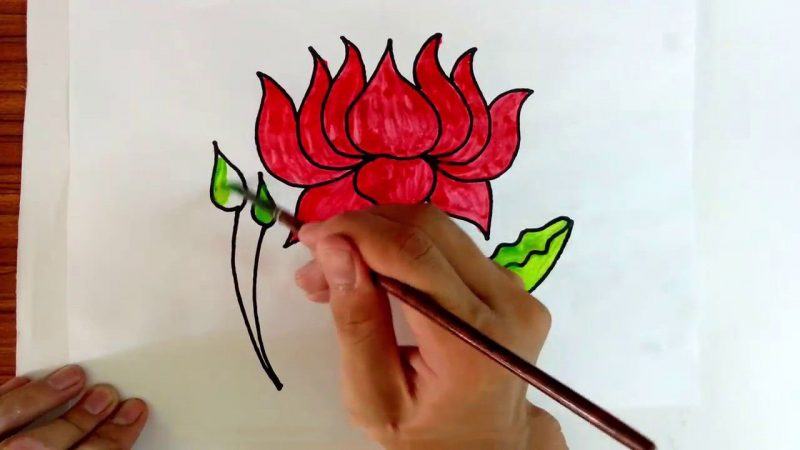 Vẽ hoa sen đỏ