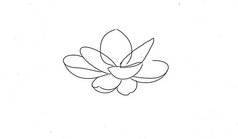 Cách vẽ hoa sen nổi tiếng nhất