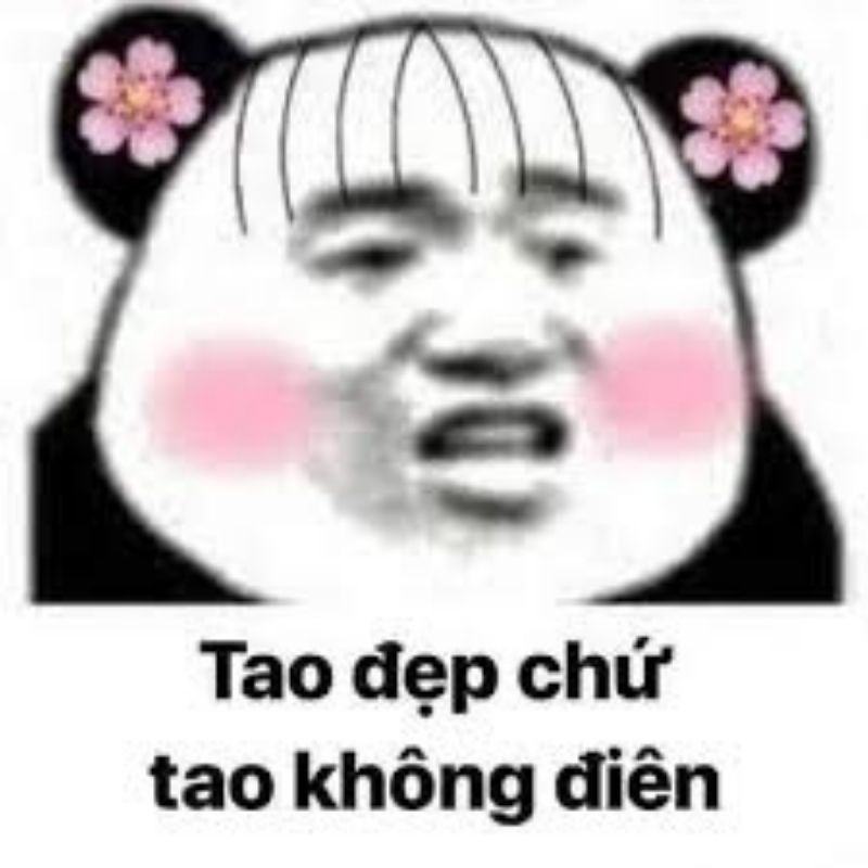 meme gấu trúc hài hước