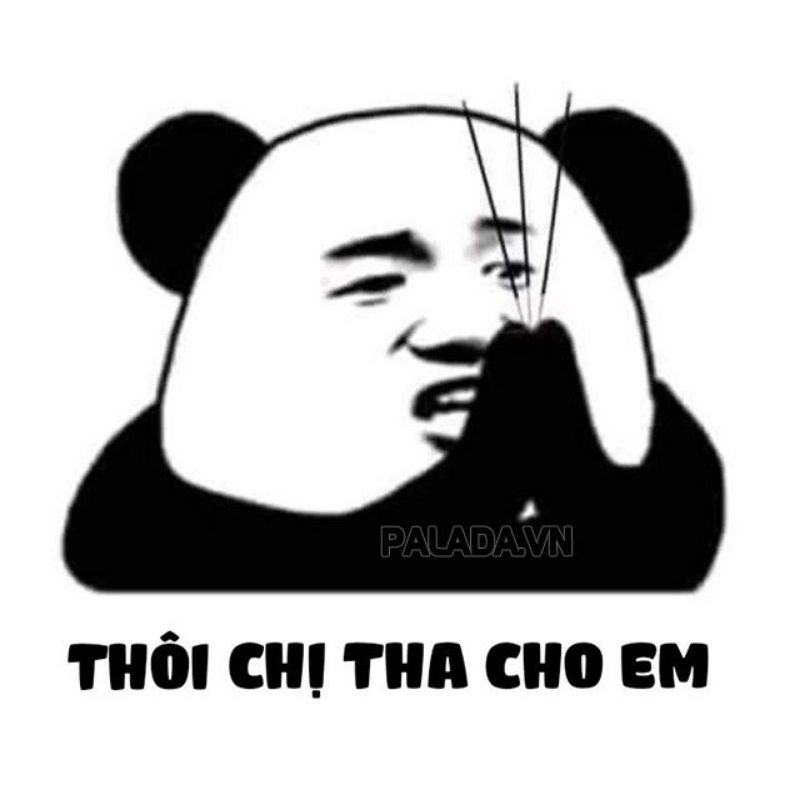 meme gấu trúc hài hước