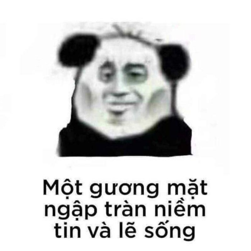 meme gấu trúc hài hước