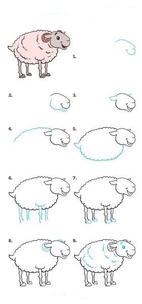 Làm thế nào để vẽ con cừu