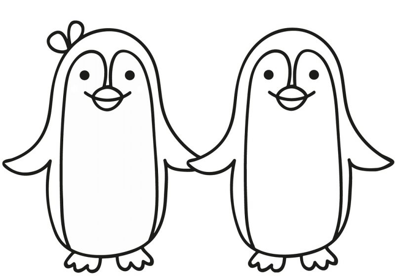 Động vật hoạt hình chim cánh cụt