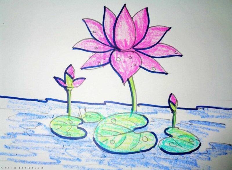 Vẽ hoa thật dễ - vẽ hoa sen cực dễ cho bé