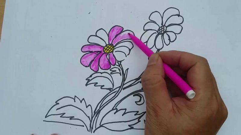 Vẽ hoa dễ vẽ hoa cúc và lông màu