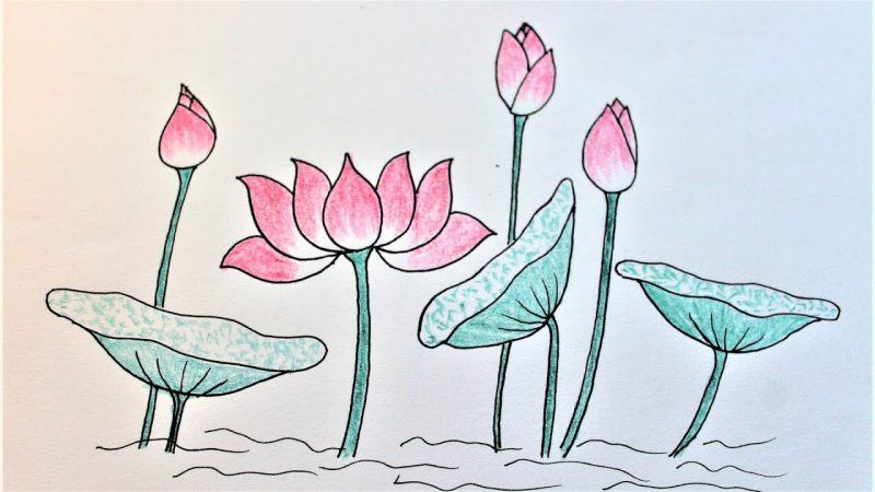 Vẽ hoa Vẽ hoa lá bằng bút chì màu rất dễ