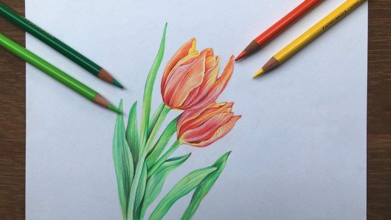 Vẽ hoa đơn giản