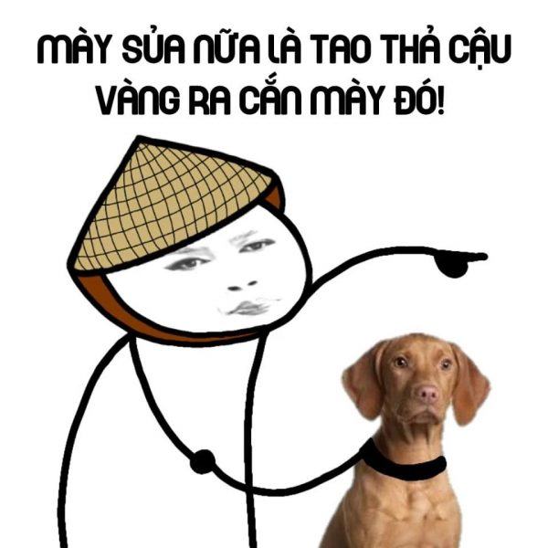 Hình ảnh hài hước về meme thả chó