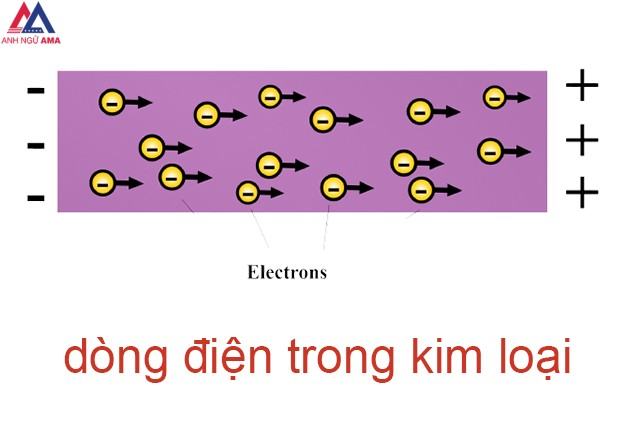 dong-dien-trong-kim