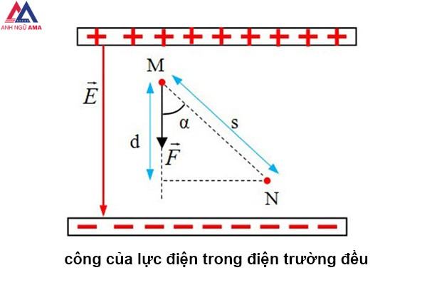 Đối diện