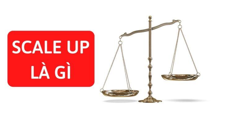 Scale up là gì? Những cụm nghĩa scale up hay, nên biết?