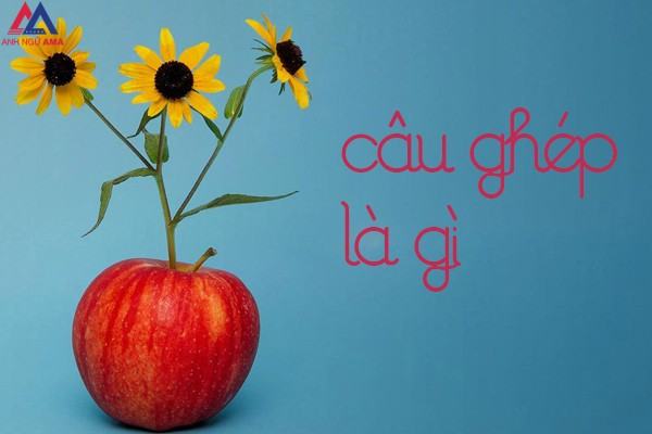 Câu ghép là gì? Phân biệt, phân loại, cách nối các vế câu ghép