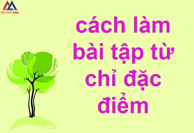 cach-lam-bai-tap-ve-tu-chi-dac-diem