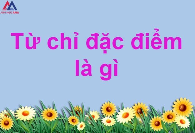 Từ chỉ đặc điểm là gì? Các loại từ chỉ đặc điểm? Ví dụ?