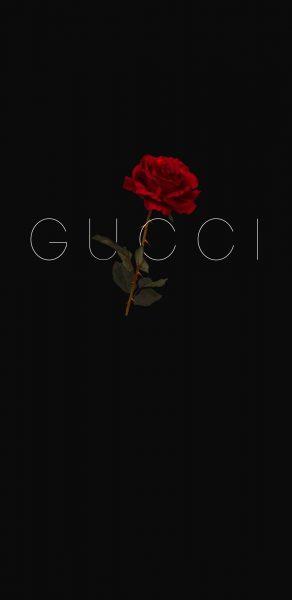 Một bức ảnh Gucci đen tuyệt đẹp