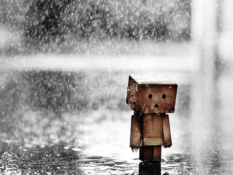 Những hình ảnh người gỗ Danbo dễ thương buồn dưới mưa
