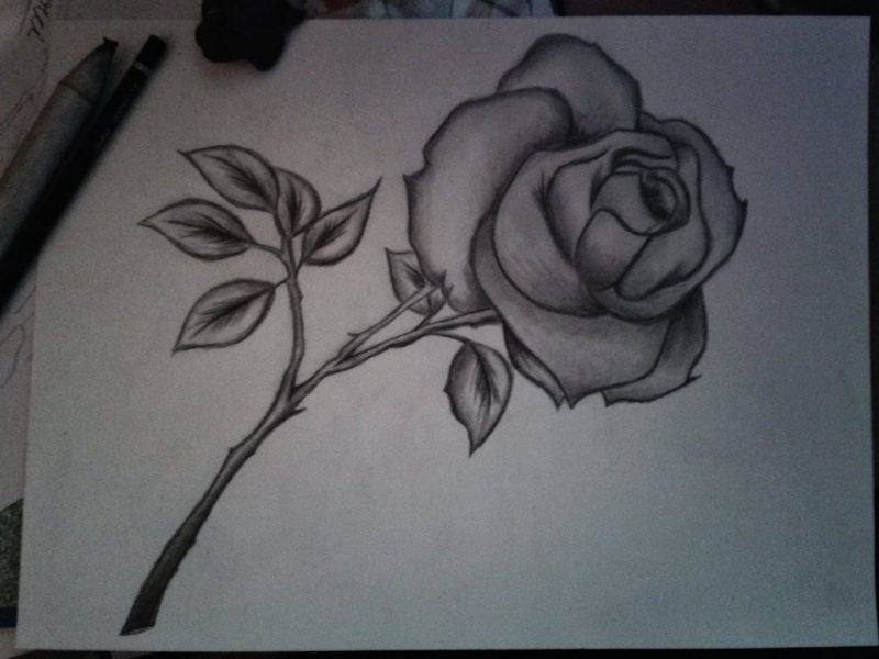 Vẽ hoa bằng bút chì đen