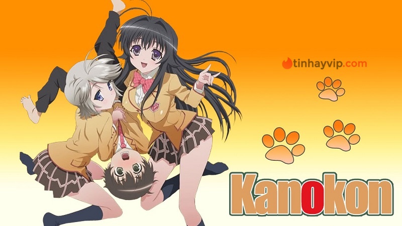 Kanokon (Cô gái Ced Fox)