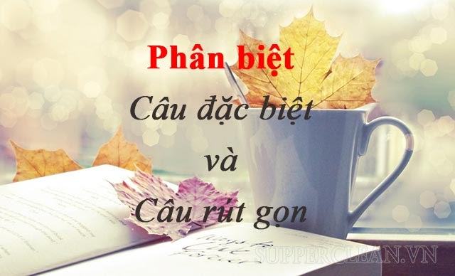 phan-biet-cau-dac-biet-va-cau-rut-gon