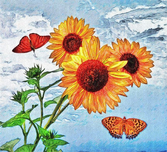 Để vẽ những bông hoa hướng dương và những con bướm xinh đẹp