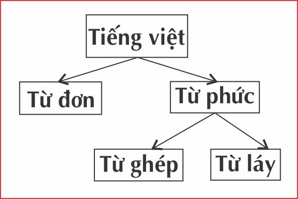 cấu trúc từ