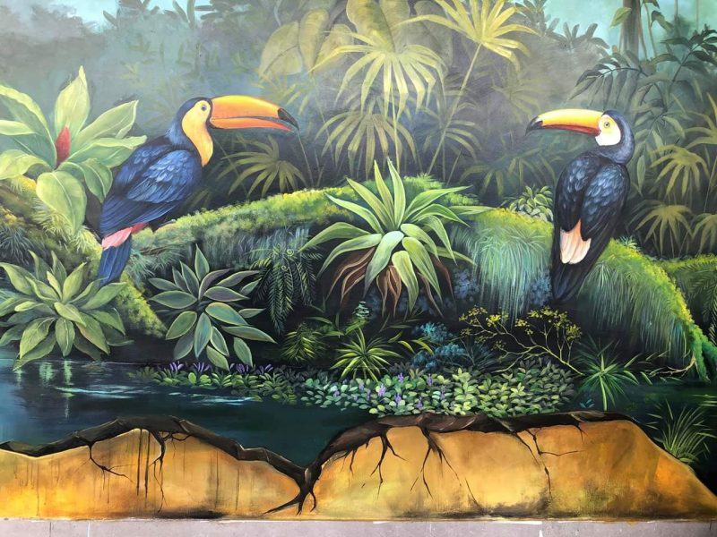 Hình ảnh 3D về rừng rậm Nam Mỹ và hai chú vẹt