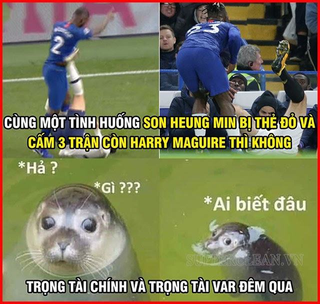 meme ai biết gì