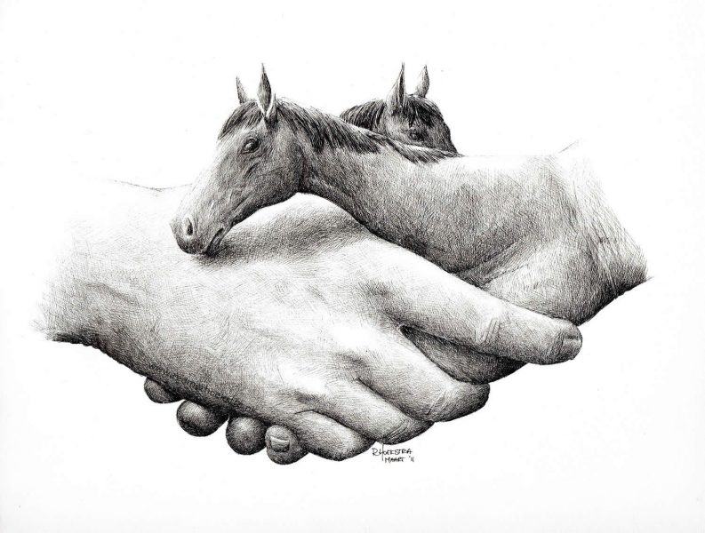 Vẽ một con ngựa bằng bút chì bằng tay