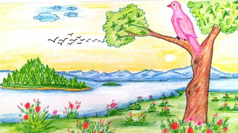 Vẽ nơi con chim màu hồng