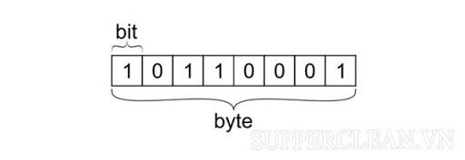 Có bao nhiêu bit trong 1 byte?