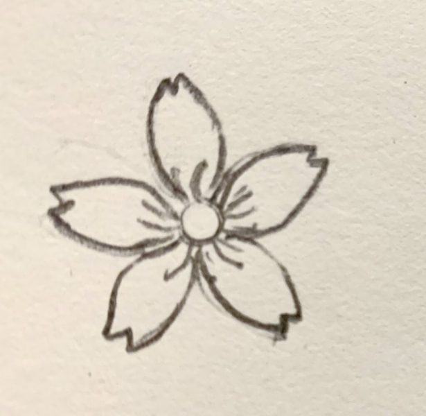 Cách vẽ hoa đơn giản đẹp