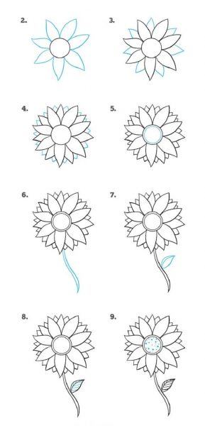 Cách vẽ những bông hoa đầy màu sắc