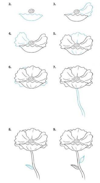 cách vẽ hoa đẹp