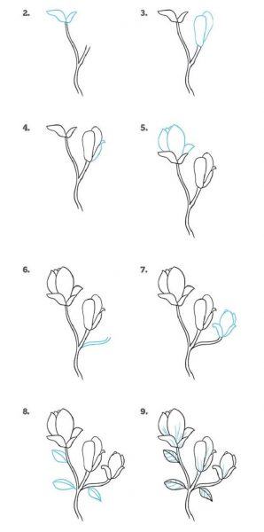 Cách vẽ một bông hoa có ba nhánh