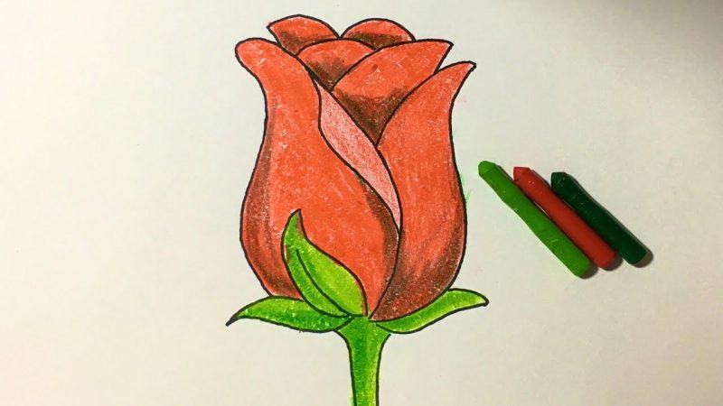 vẽ hoa bằng bút màu