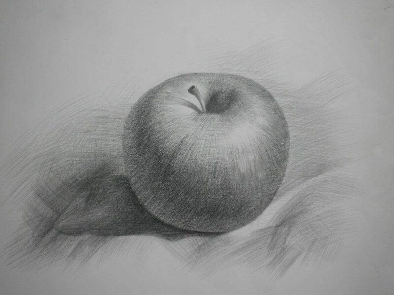 vẽ tranh tĩnh vật bằng bút chì táo